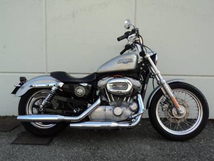 Immagine Harley Davidson XL 883