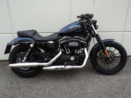 Immagine Harley Davidson XL  883 IRON