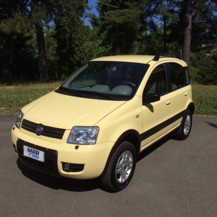 Immagine Fiat Panda 1.2 ie 4x4 Climbing